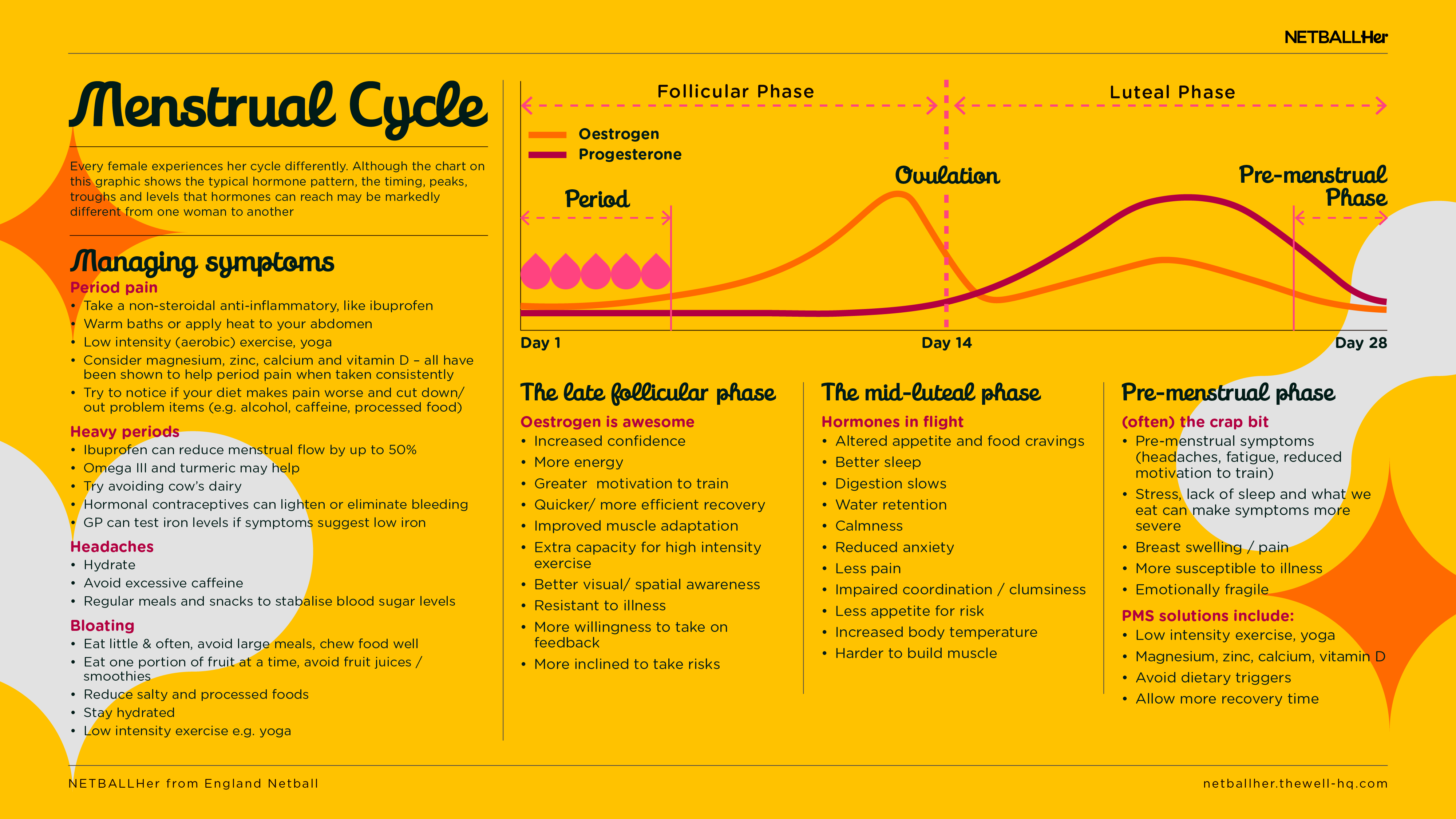 menstrual cycle infographic